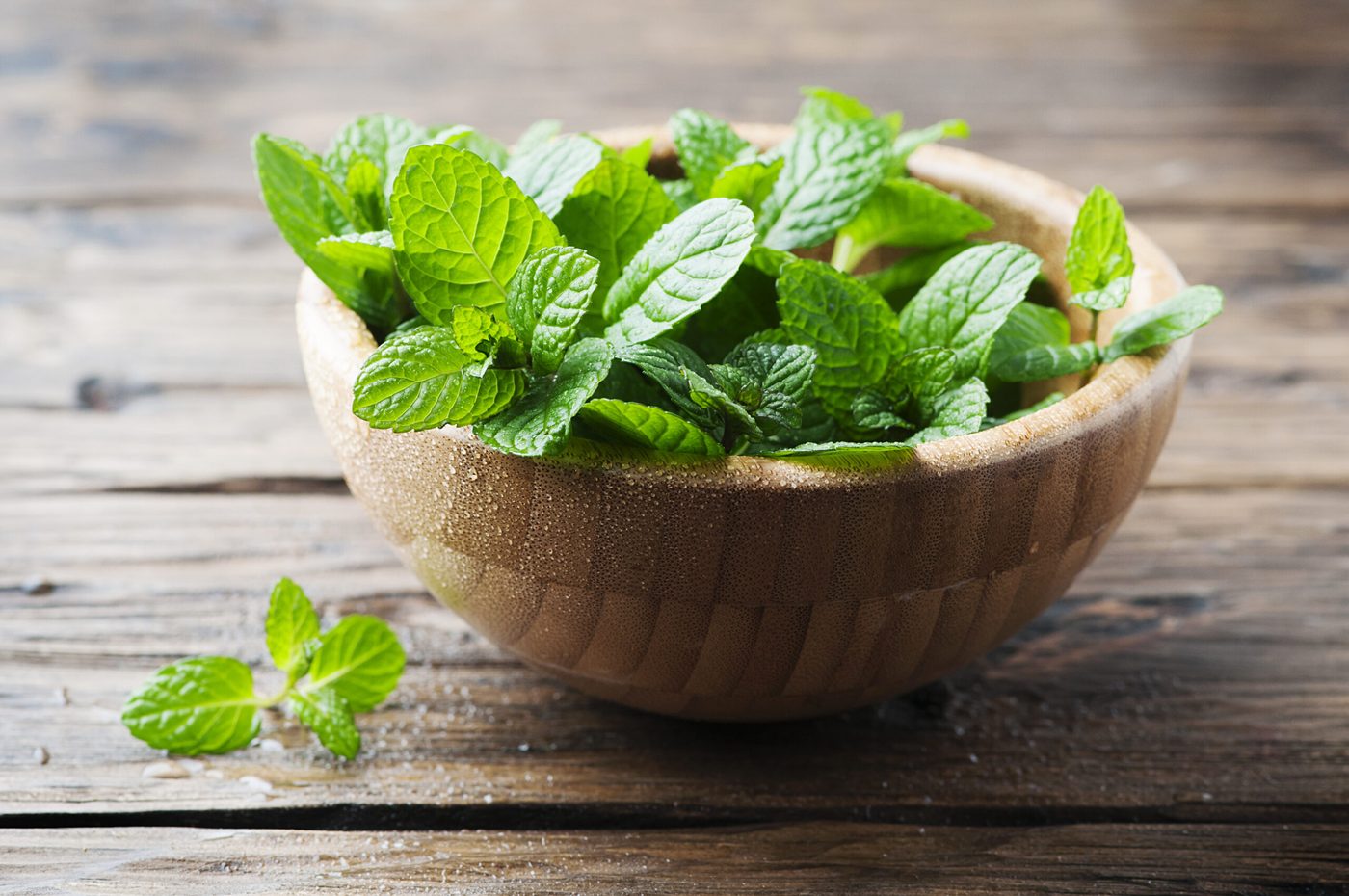 Mint leaves