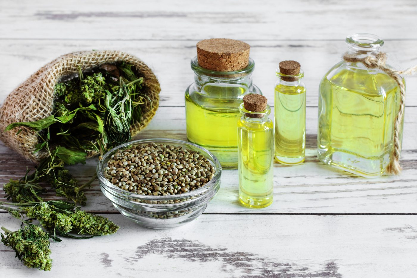 Cannabis botanical