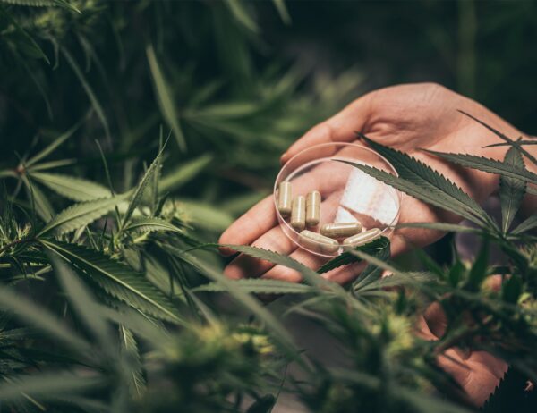 Dosage and Safety Considerations